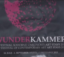 Kabinet čudes na 13. festivalu sodobne umetnosti Art Stays