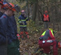 Kako varno ravnati z motorno žago?