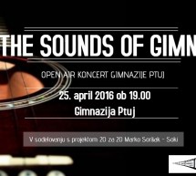 The Sounds of Gimna