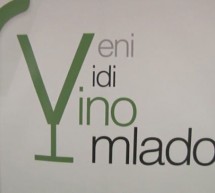 Veni vidi vino mlado 2016