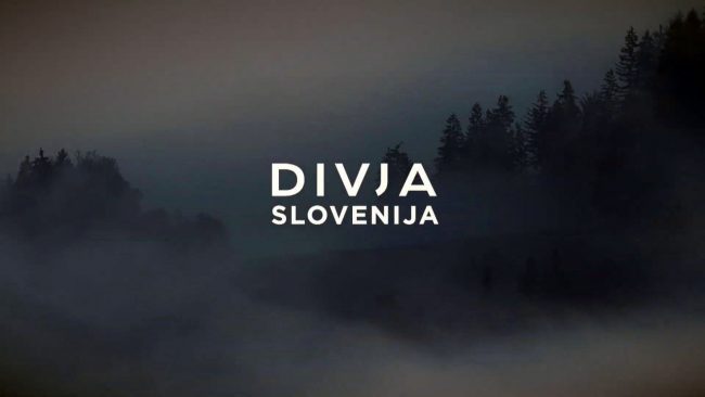 Kinoskop – Divja Slovenija